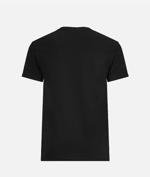 Two Tone Shadowed Fed By Fuel T Shirt